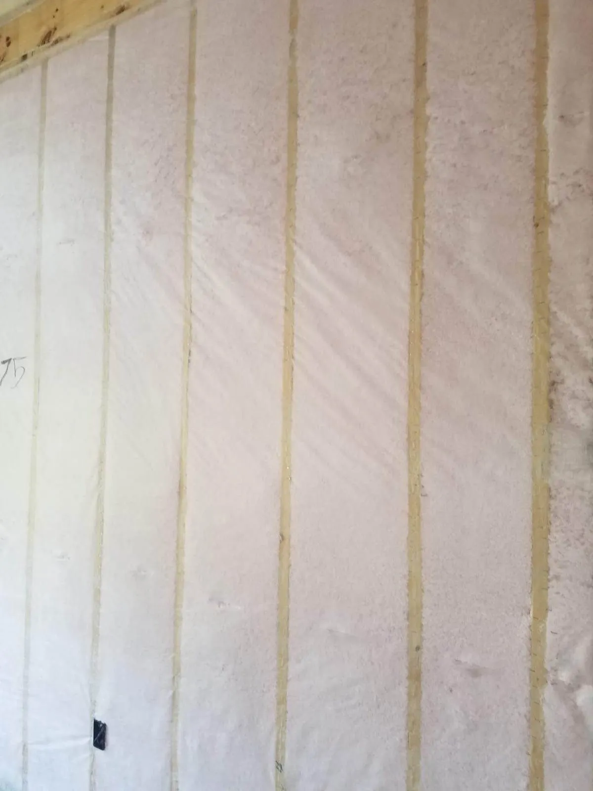 Blown-in blanket insulation filling wall cavities behind netting